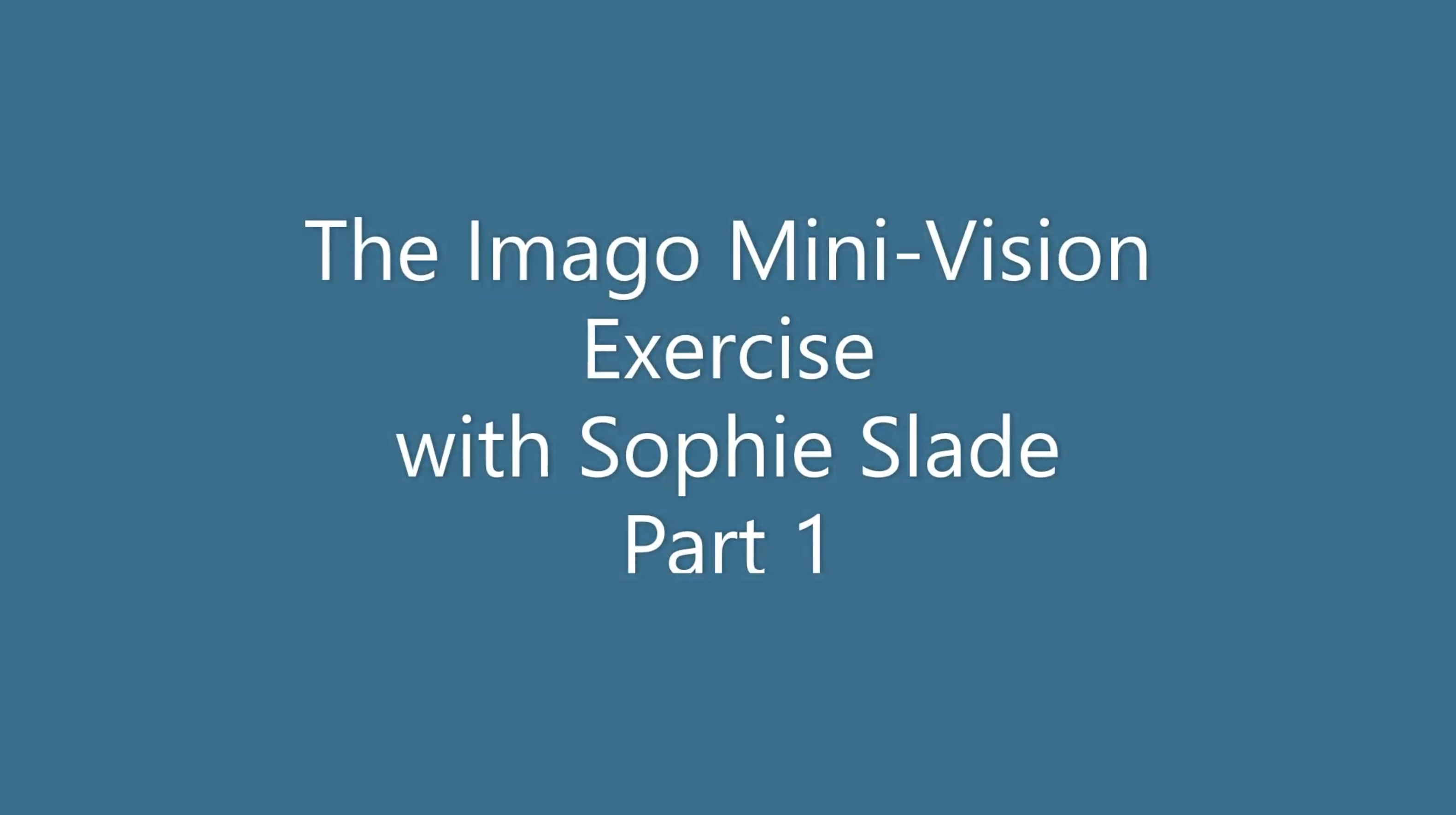 The Imago Mini-Vision Exercise – A mandate and a measure