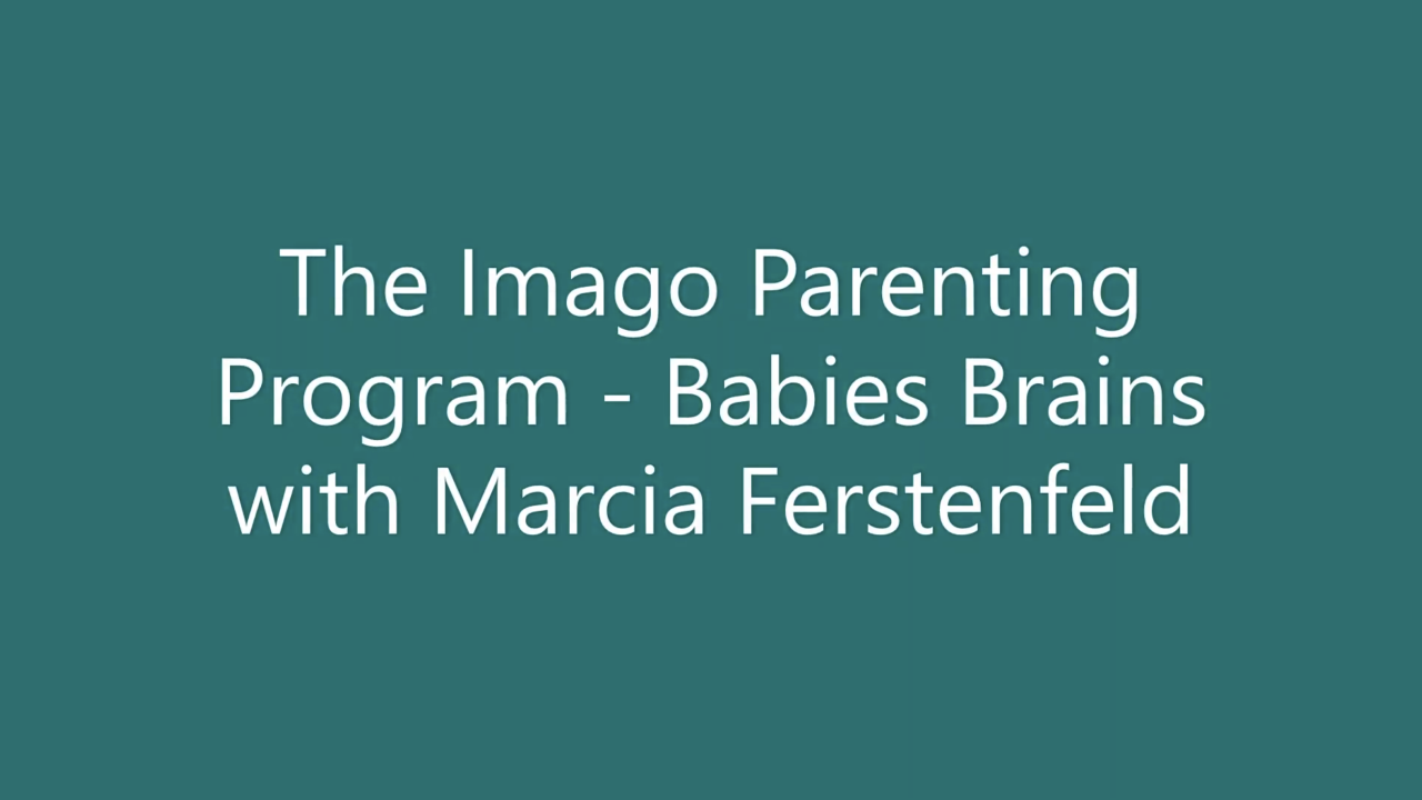 Imago Parenting: Babies Brains RECORDING